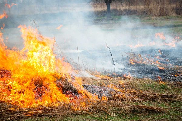 Large grass fire doused before more serious damage done