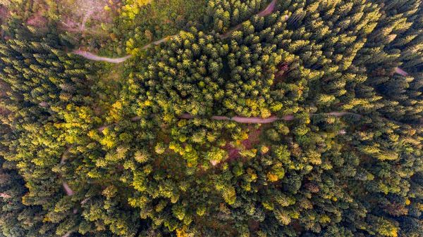 Six municipalities opt in to aerial imagery project