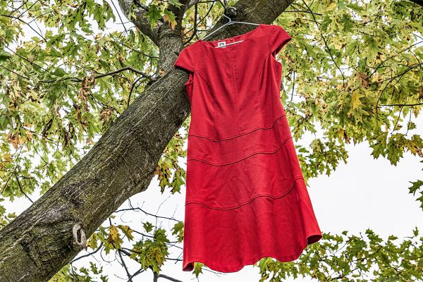 MP Hughes highlights red dress alert pilot project in Parliament