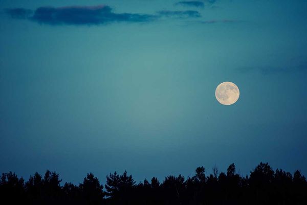 Community Event: Celebrate the Moon Party