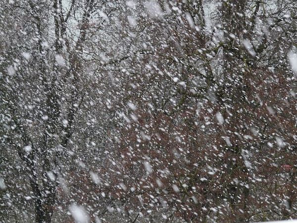 Snowfall warning in effect, significant accumulations expected