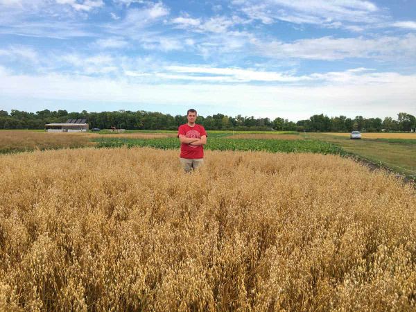 Researcher seeks Northern farmers’ cover crop input