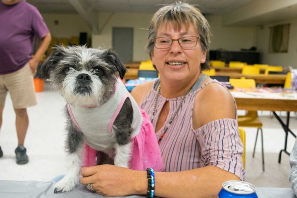 Mobile vet clinic helps tackle stray dog problem