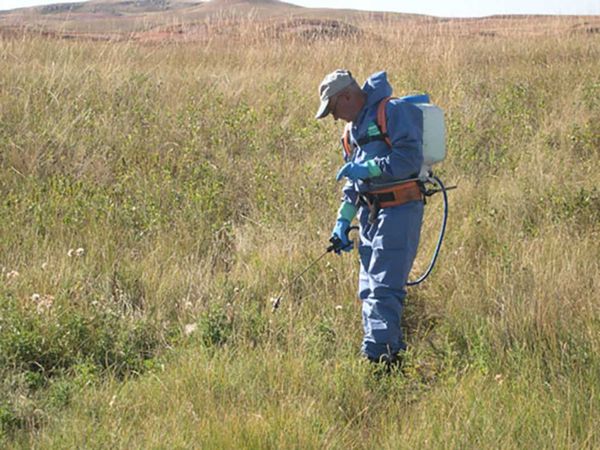 Proponents of petition call on province to amend Pesticides Act
