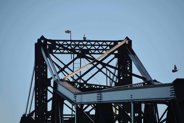 Newly raucous swing bridge foghorn deprives nearby homeowner of sleep