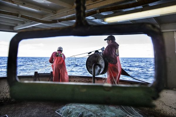 Editorial: Feds must put the Ontario commercial fishery in the loop