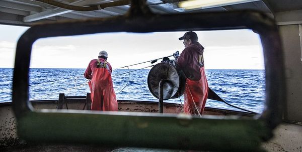 A photojournalist explores the working life on a boat in Manitoulin’s commercial fishery through his camera’s lens