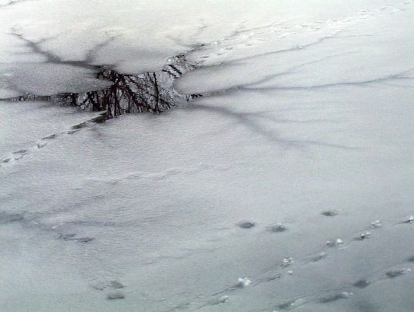 Snowmobile goes through thin ice near McGregor Bay