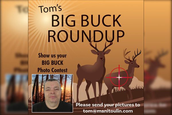 Big buck contest!