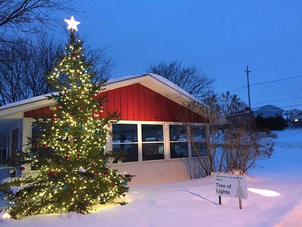 Tree of Lights fundraiser starts its major Christmas campaign