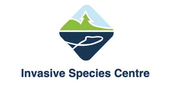 New study shows biological invasions from invasive species are as costly as natural disasters