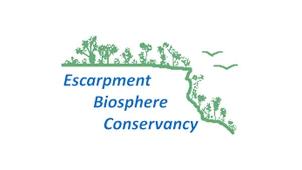 Biosphere Conservancy to create walking paths for East Bluff preserve
