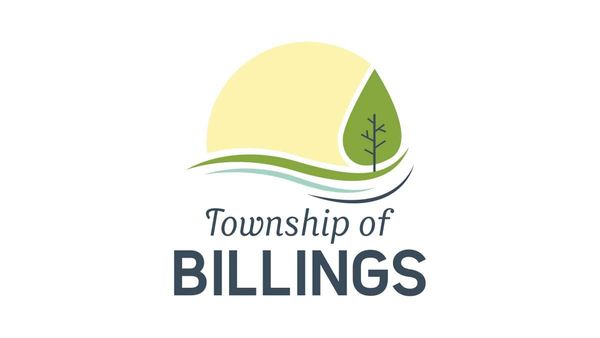 Annual auditor report indicates Billings in good financial shape