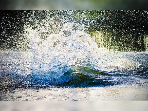 Sandfield bait shop owner concerned about Lake Manitou dam management