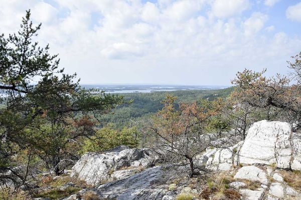 Willisville Mountain fundraising reaches first goal