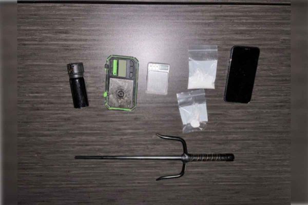 Traffic stop results in drug and weapons charges