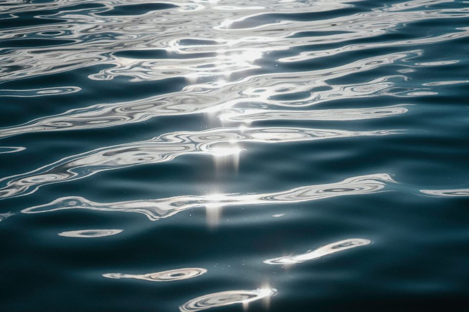 Field Notes: Below the surface