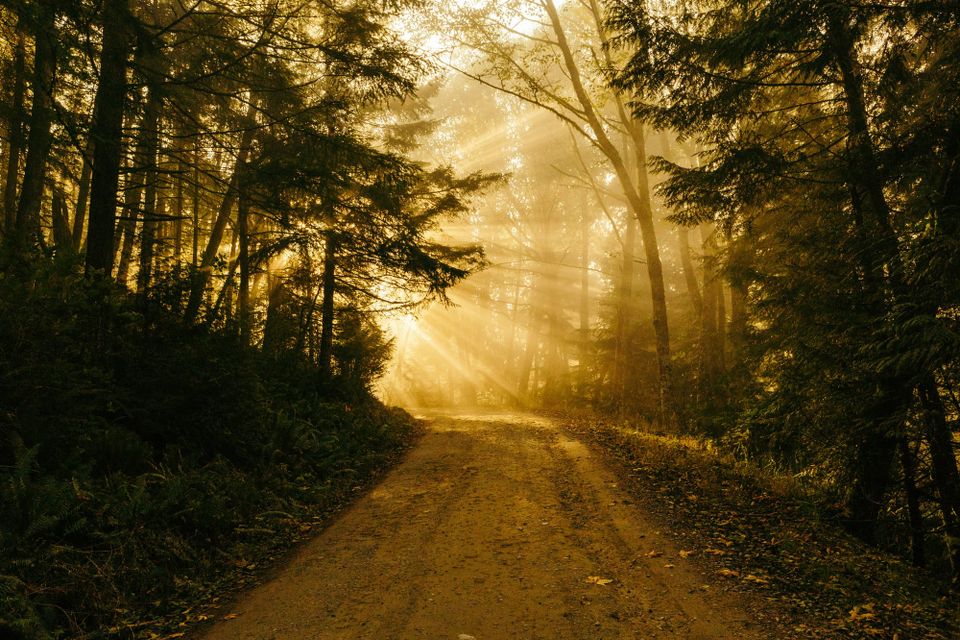Find a path through