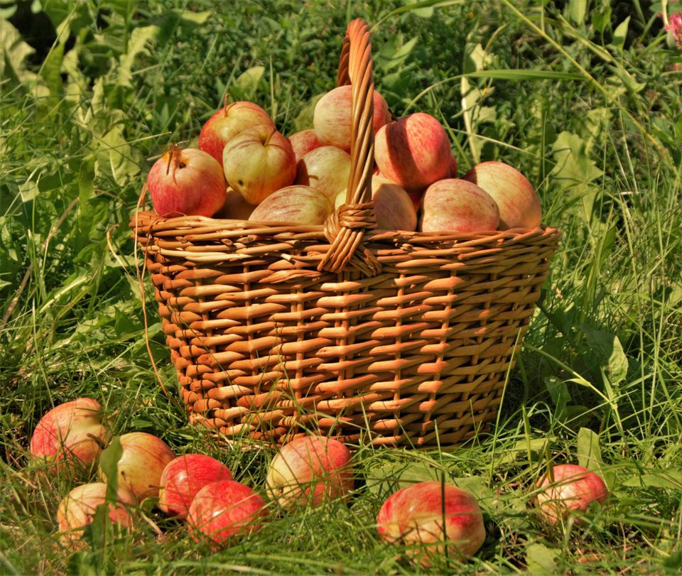 When knowledge ripens