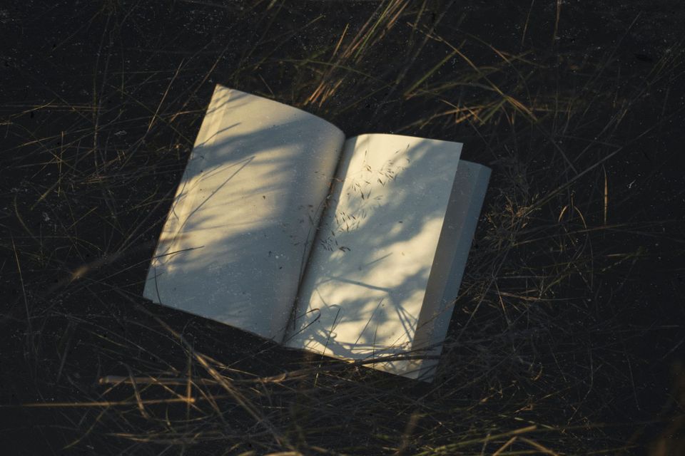 Field Notes