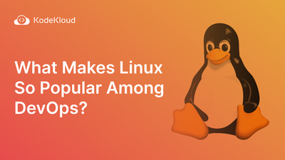 What Makes Linux So Popular Among DevOps?