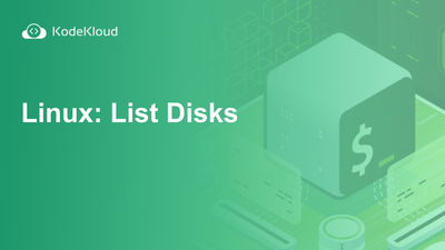 Linux: List Disks
