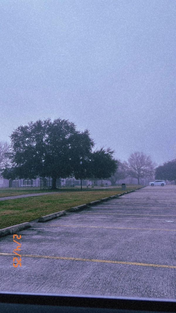 lullabies for the lost places