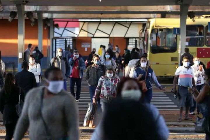 Veterinário alerta: Volta ao trabalho, o comércio abriu. E o gato e o cachorro?
