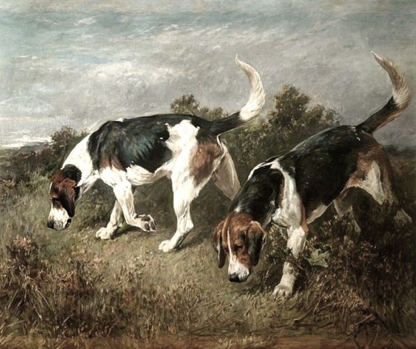 Η Ιστορία των Δύο Σκύλων