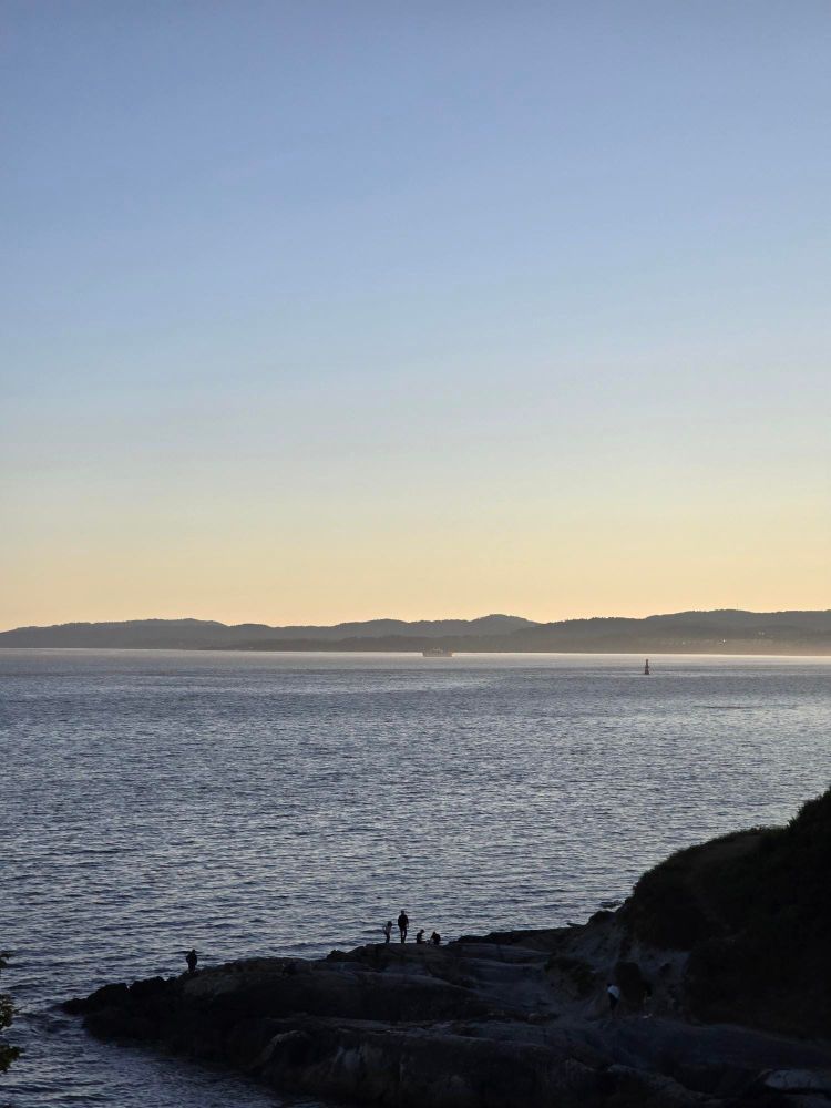 Big Beautiful Prediction