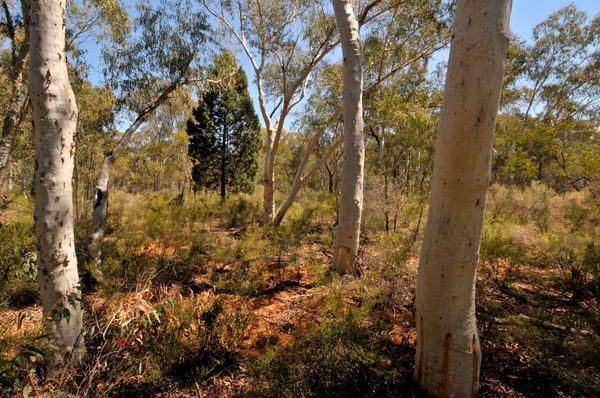 The whole and its parts