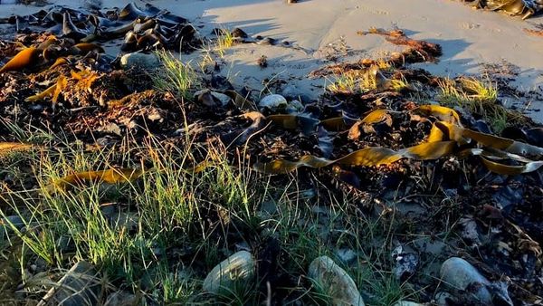 Back to reality: read poetry, not political debates