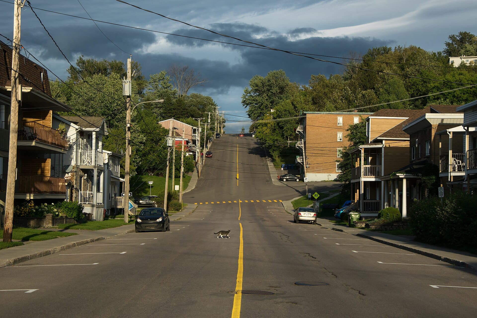 Liberals continue their utter dominance among the Canadian electorate