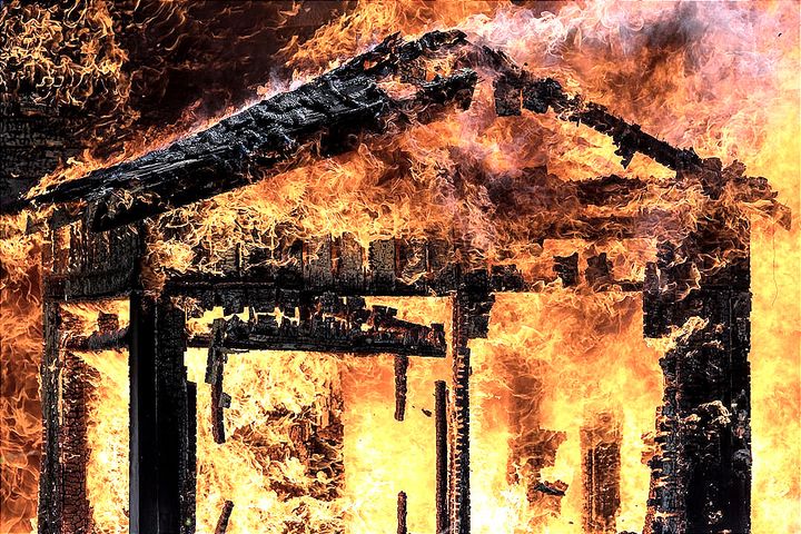 The Politics of Vengeance