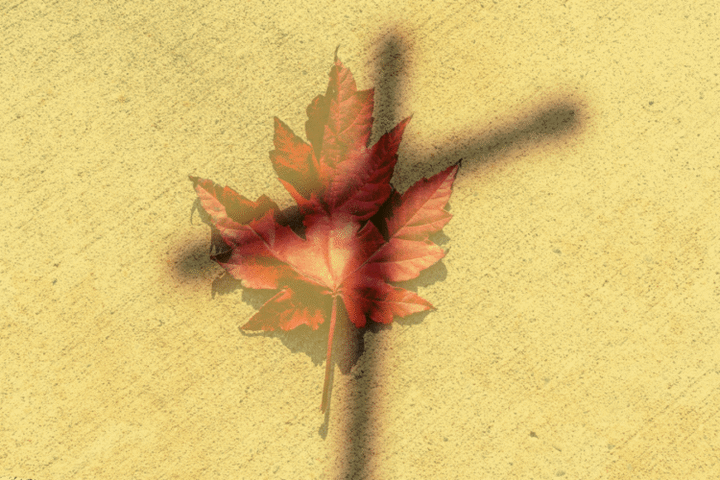 Two Catholics, Two Visions for Canada/Deux catholiques, deux visions du Canada