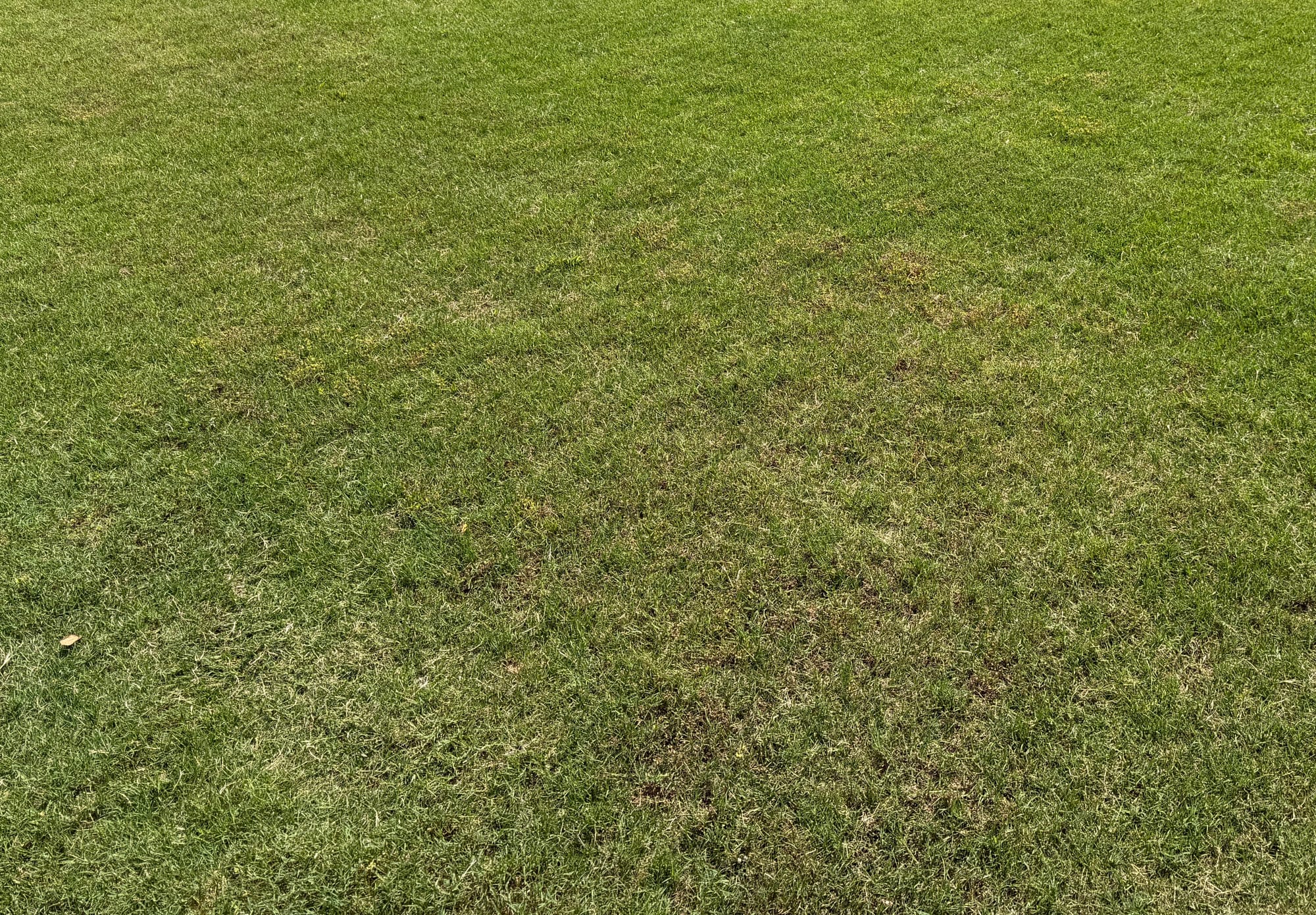 MOVA LiDAX Ultra 3000 AWD cutting through thick, damp Bermuda grass