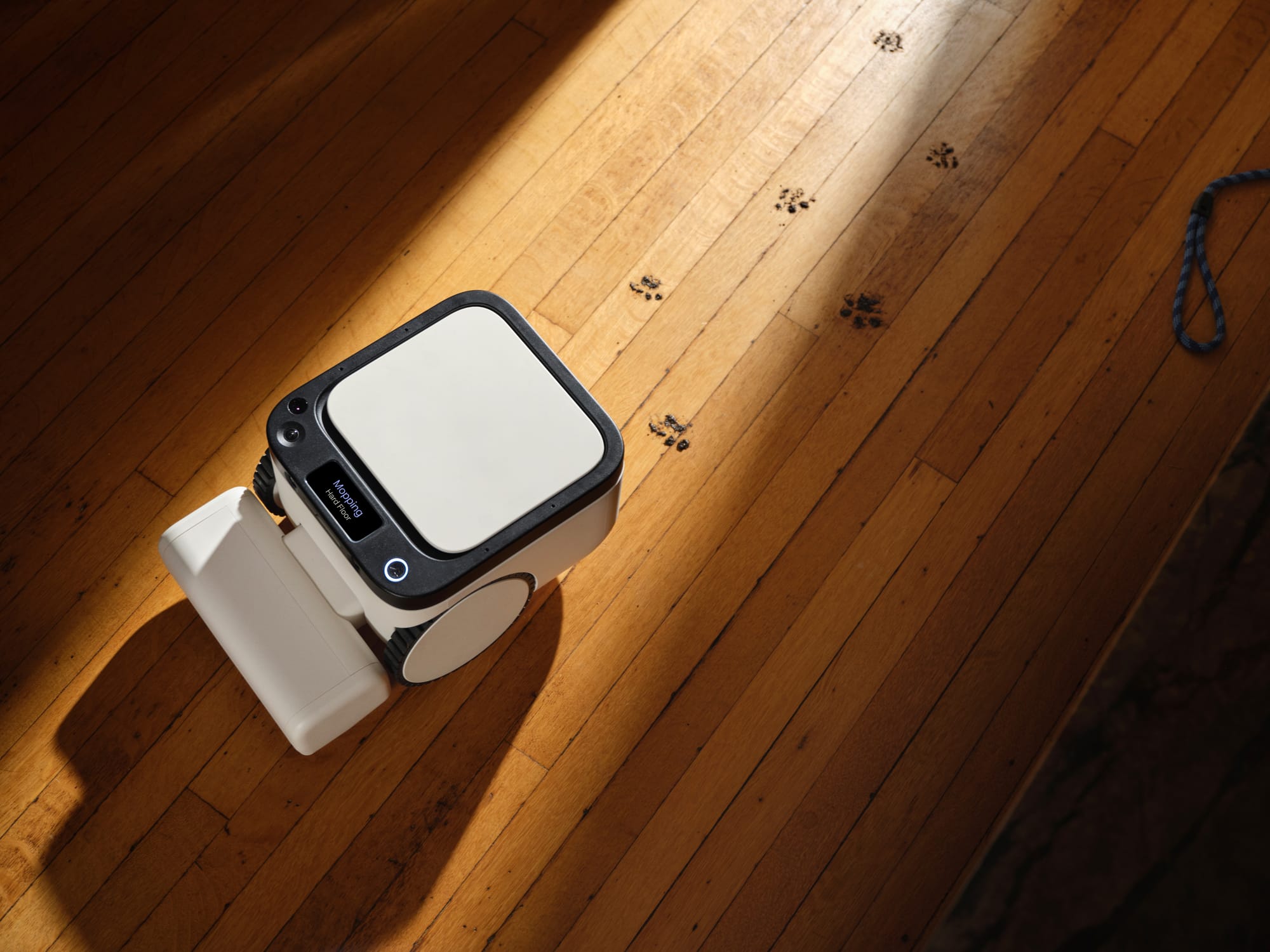 Overhead view of a Matic robot vacuum and mop on a sunlit hardwood floor beside a trail of muddy paw prints.