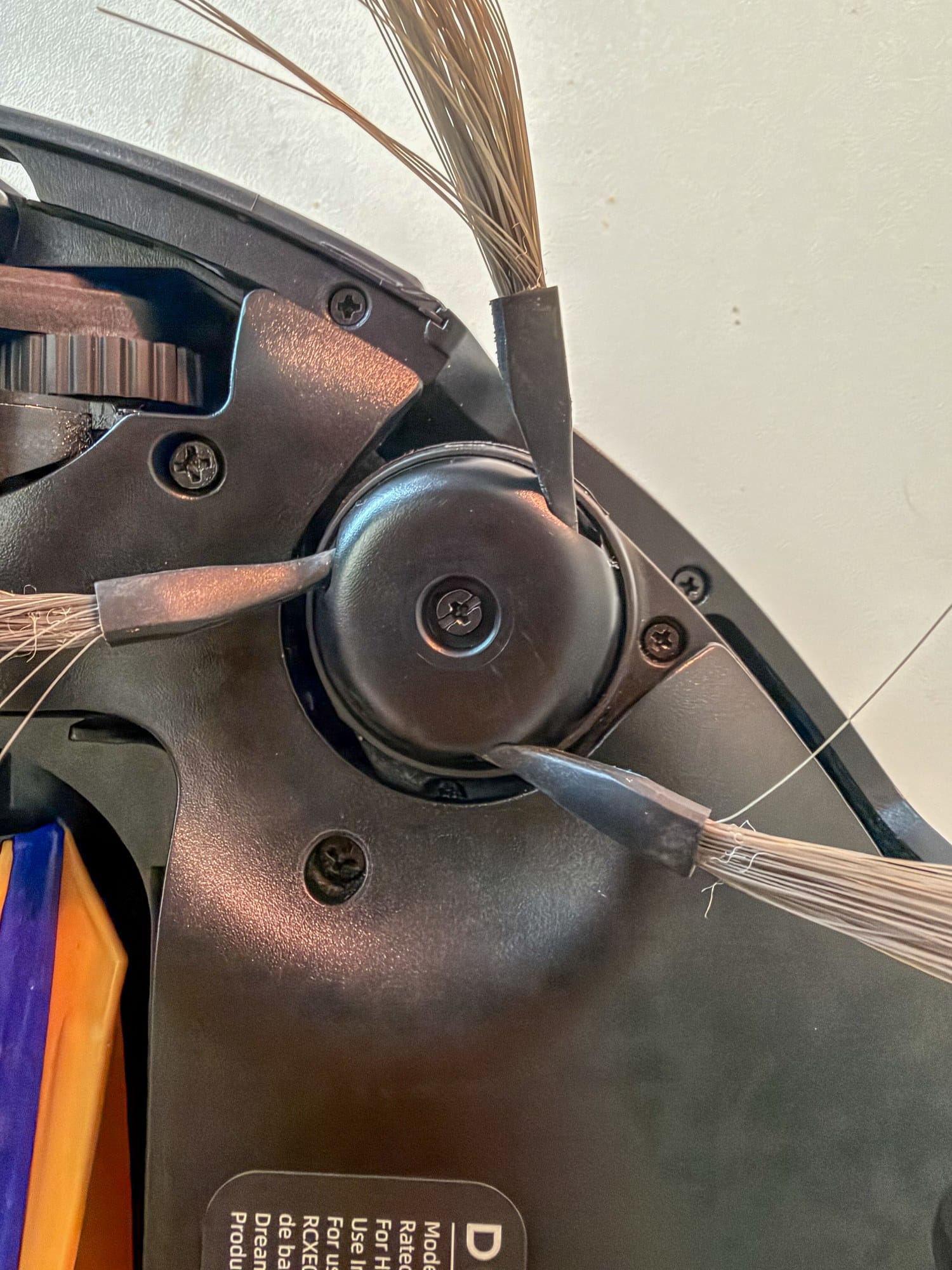 Side brush and mounting screw