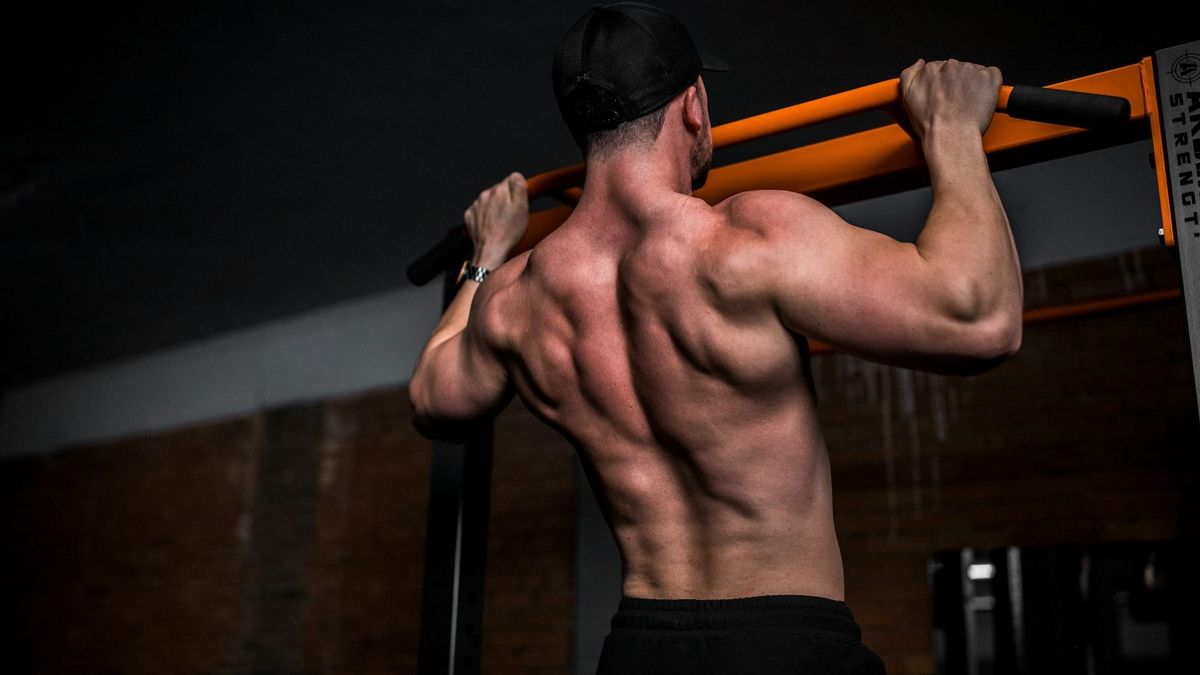 The 3 Key Principles of Muscle Growth