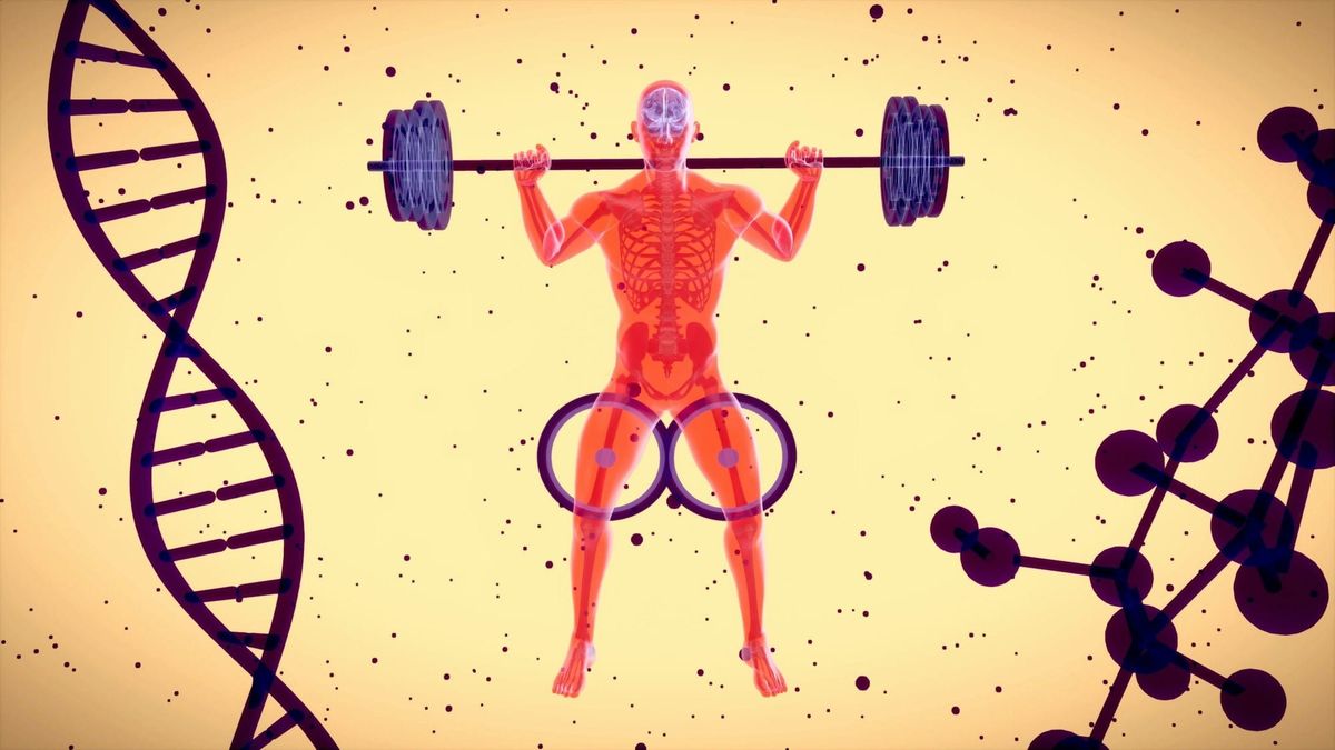 Does Testosterone Build Muscle?