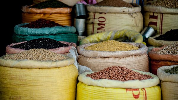 Plant-Based Protein: What Everyday Foods Deliver