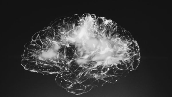 How Fasting Affects Your Brain, Cognition & Mental Health