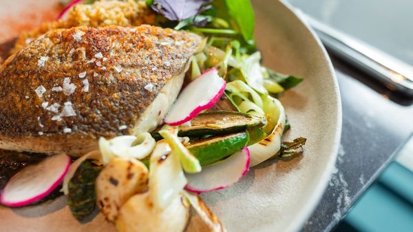 The 3 Best Fat Loss Diets