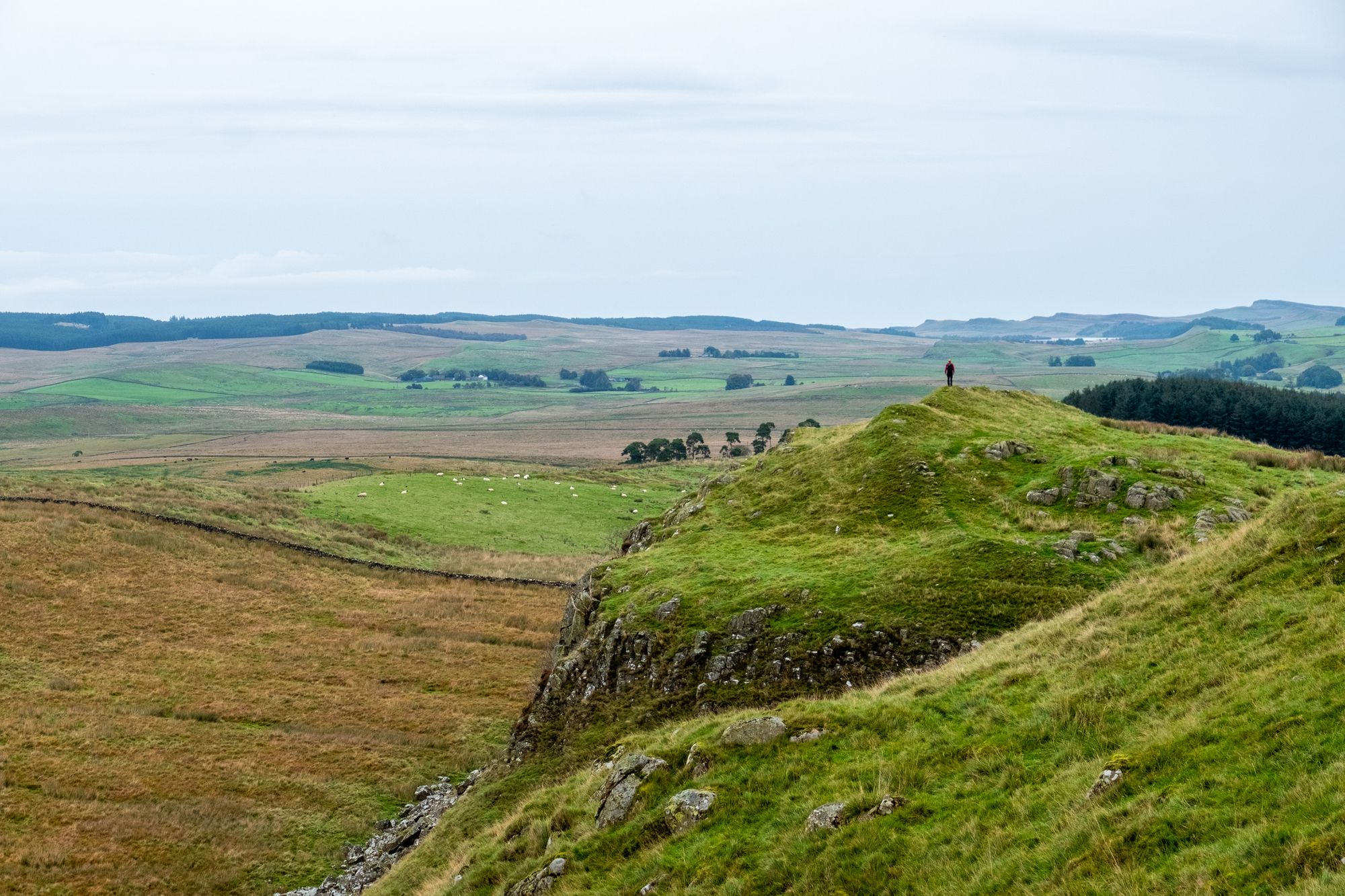 A lone hiker looks out over the 