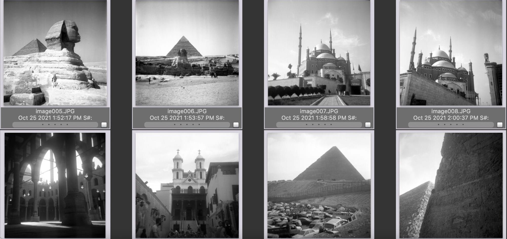 Medium format photos | Egypt | Mauritius | Tunisia