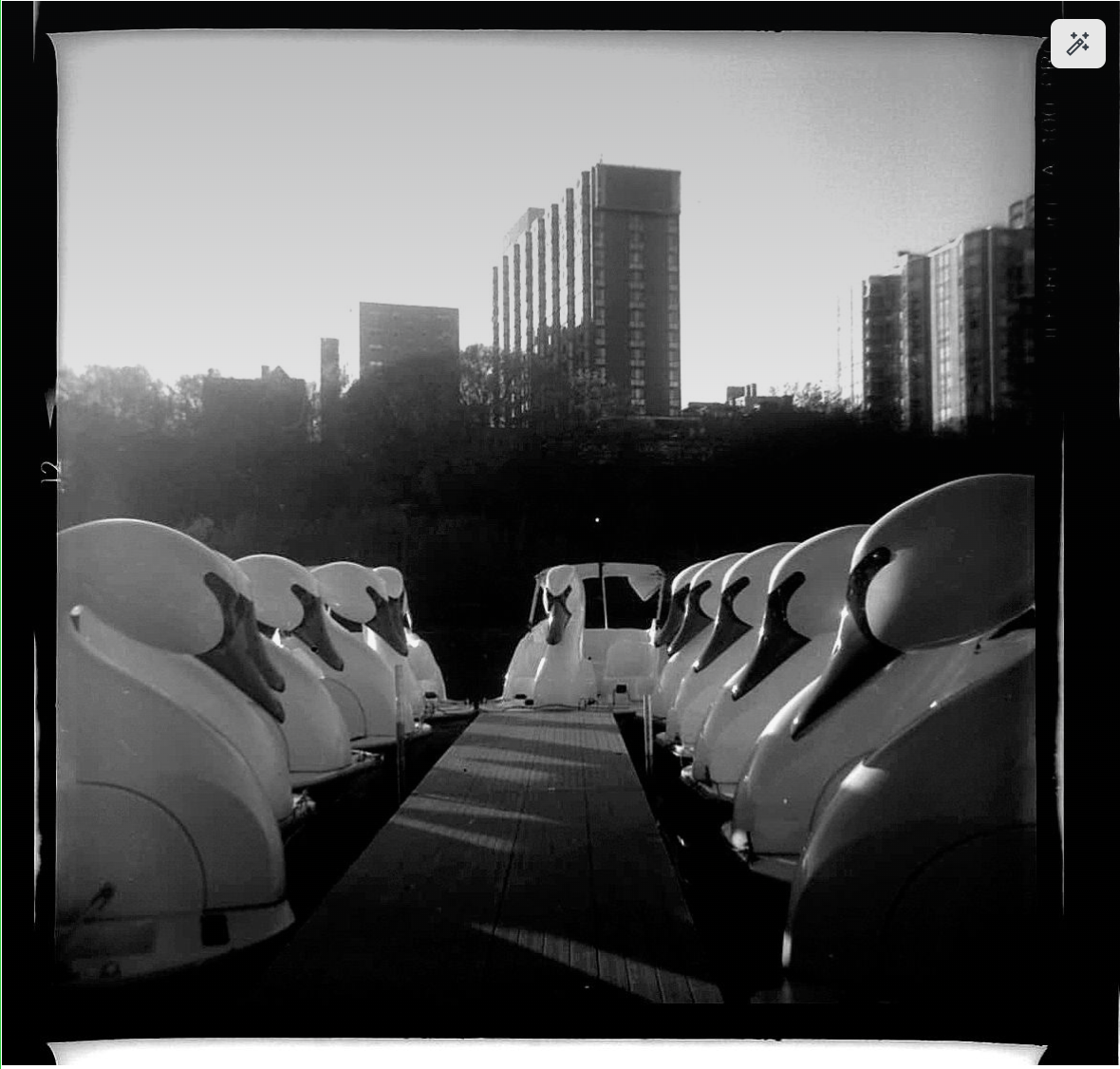 Photography | Kodak Duaflex IV