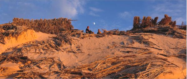 Oasis Road | Tunisia