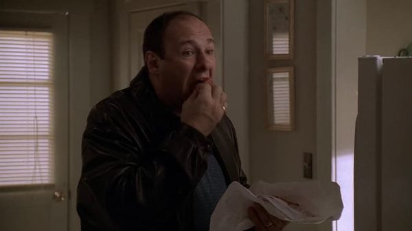 Pass The Gabagool, Keep the Toxic Masculinity: An Essay About the Sopranos
