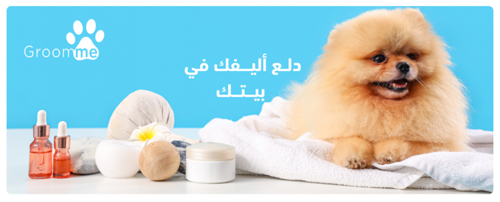 Maximizing Returns: How Google Ads Transformed Home Services for Groomme