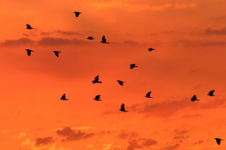 Why Businesses in Riyadh Are Choosing Local Agencies Over Big Names